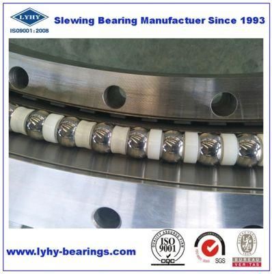 Ungeared Slew Ring (9O-1B14-0325-1067) Ball Swing Bearing