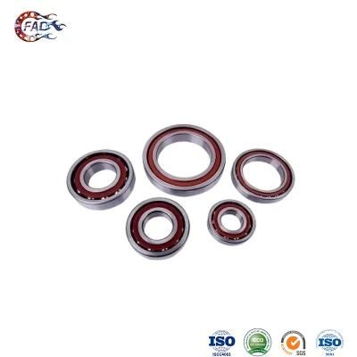 Xinhuo Bearing China Double Row Cylindrical Roller Bearing OEM Original Manufacture 60203 Auto Gate 173110 2RS Bearing 7236AC