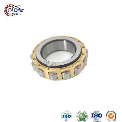 Xinhuo Bearing China Spherical Bearing Custom 6300 Nj212e Cylindrical Roller Thrust Bearing