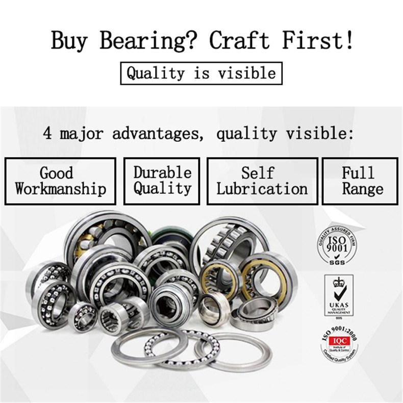 Good Quality Good Performance Low Noise Cylindrical Roller Bearings Nup307e 92307e Nup307en Nup307em Nup307 Nup307m