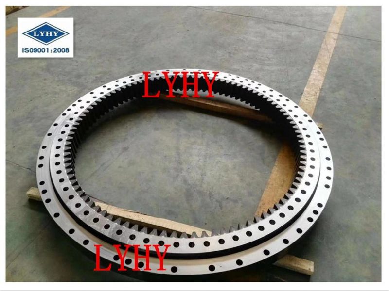 Lyhy Double Row Ball Slewing Bearings Turntable Bearings with External Gear 2de. 069.00