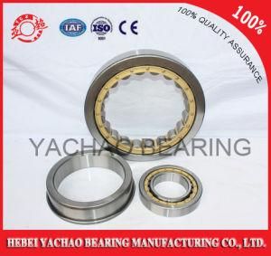 Cylindrical Roller Bearing (N206 Nj206 NF206 Nup206 Nu206)