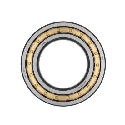 Nn3017/3018/3019/3020/3021/3022/3024/3026 NSK Timken Koyo NACHI Snr IKO Cylindrical Roller Bearing