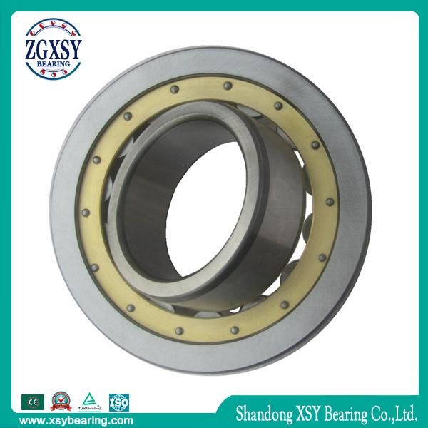 NSK Cylindrical Roller Bearing Nj2211 Nu2211 Nup2211