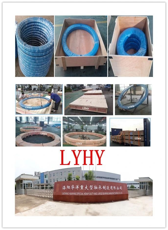 Lyhy Double Row Ball Slewing Bearings Turntable Bearings with External Gear 2de. 069.00