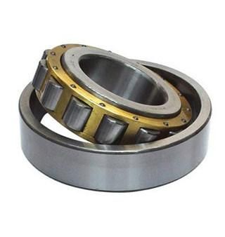 Cylindrical Roller Bearing N1004 N1005 N1006 N1007 N1008 N1009 N1010 N1011 N1012 N1013 N1014 N1015 Precision Bearing