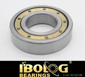 Motor Spare Parts Deep Groove Ball Bearing Model No. 6213m with Best Quality