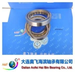 A&F Bearing/ Cylindrical Roller Bearing NJ224M