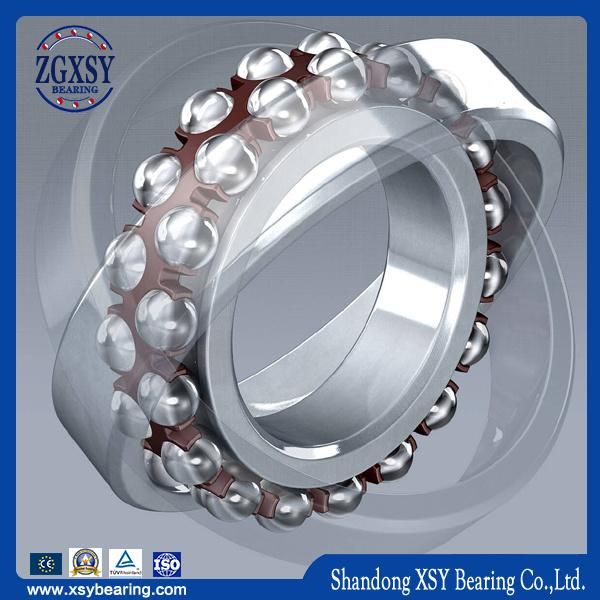 1205c3 Double Row Self-Aligning Radial Ball Bearing