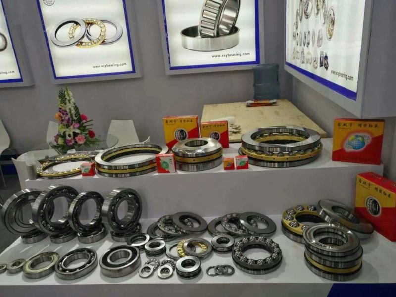 Bearing Manufacturer/Thrust Ball Bearing (51300 series)