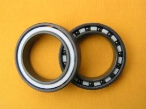 Si3n4 Bearing