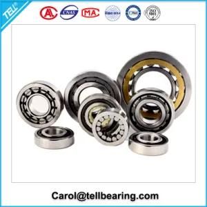 Deep Groove Ball Bearing, Ball Bearings with NACHI Nu311 Bearing