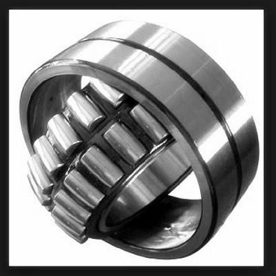 Zys China Professional Large Self-Aligning Roller Bearing