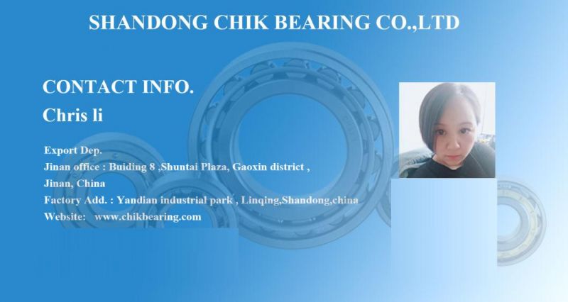 NSK Roller Bearing Factory Hr32214j Tapered Roller Bearing Hr32307j for Assembly Machine