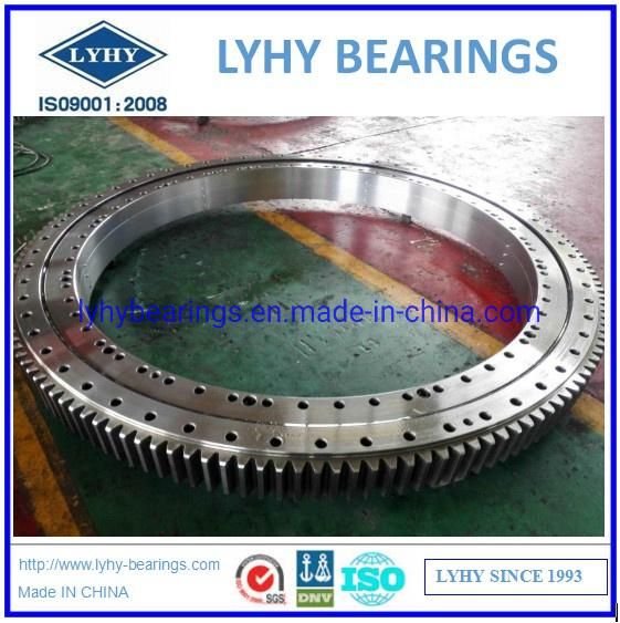 Slewing Ring Bearings Ring Bearing Slewing Bearings Turntable Bearings 9I-1b45-1864-0859