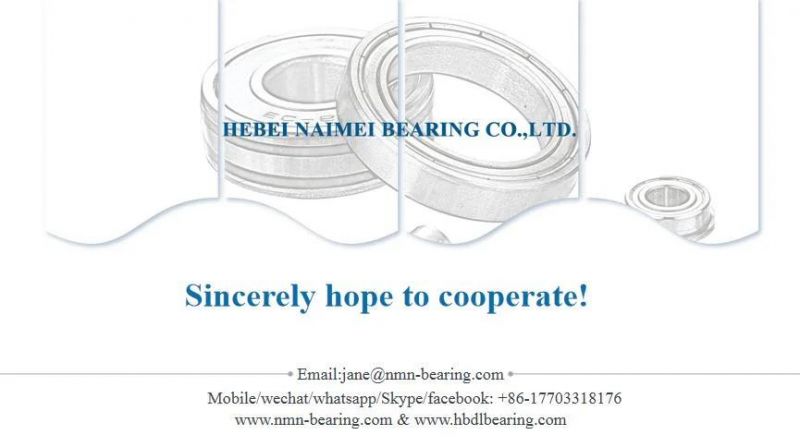 Bearing Stainless Steel Pillow Blocks Roller Bearing Housing Pillow Block Bearing