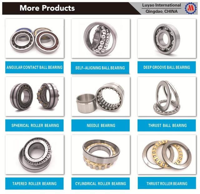 NSK Timken NTN Koyo NACHI/Thrust Bearing 5691/500 511/530 Manufacturer Thrust Ball Bearing Apply Crane Hook/Vertical Water Pump/Low Speed Reducer, OEM Service