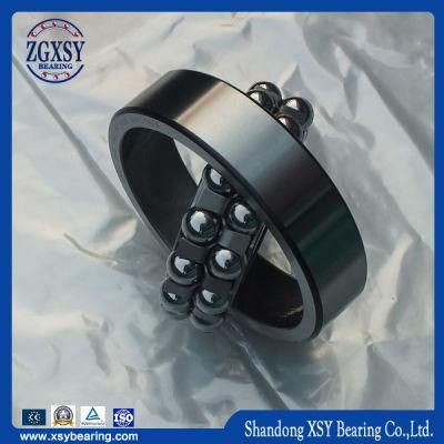 1205c3 Double Row Self-Aligning Radial Ball Bearing