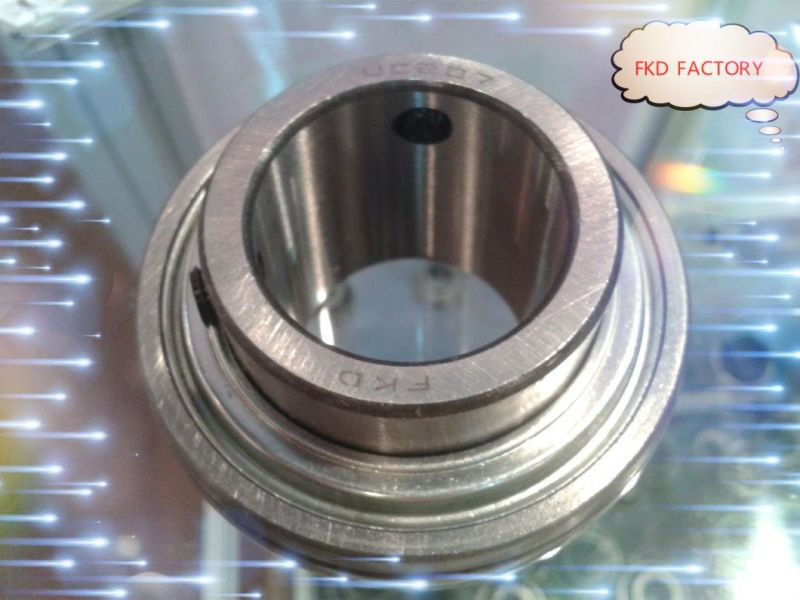 Pillow Block Bearing for Machine Part (UCP SN507 UCPA)