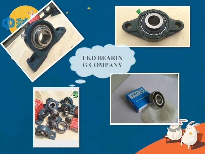 Famous Trademark, High Quality Pillow Block Bearing