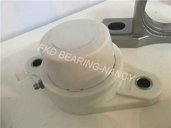 1" 2-Bolt Stainless Steel Flange Bearings (UCFL 205-16)