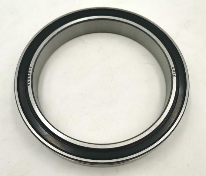 Chik Brand 95dsf01 Dducm 95dsf01 2RS Deep Groove Ball Bearing Gcr10 Bearing Steel P6 Grade 95*120*17mm