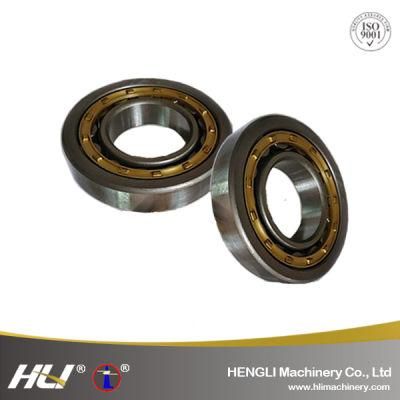 N/NJ/NU207EM NU208EM NU209EM NU210EM Cylindrical Roller Bearing With Polyamide/Brass/Steel/Nylon/Bronze Cage