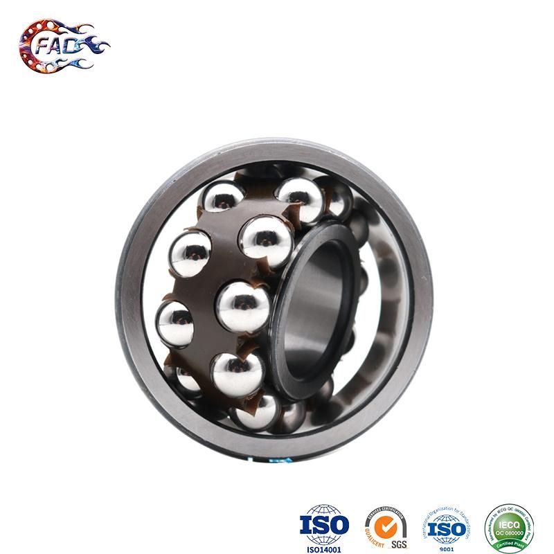 Xinhuo Bearing China Motor Bearing Product 626z Bearing11214 Double Row Selfaligning Ball Bearing