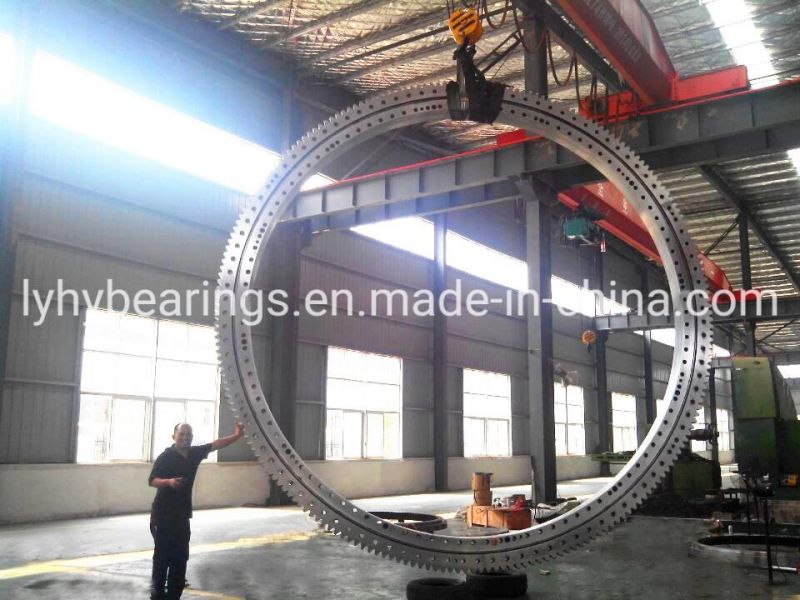 Slewing Ring Bearings Ring Bearings Slewing Bearings Rotary Bearings 9I-1b45-2490-0907