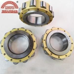 High Quality Cylinderical Roller Bearing with Competitive Price (NJ2204)