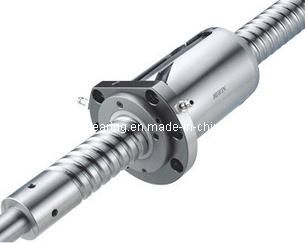 High Quality Ball Screw 3206-4 Made in China