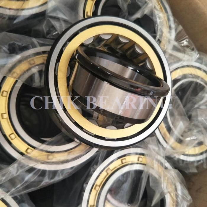 Cylindrical Roller Bearing N1004 N1005 N1006 N1007 N1008 N1009 N1010 N1011 N1012 N1013 N1014 N1015 Precision Bearing