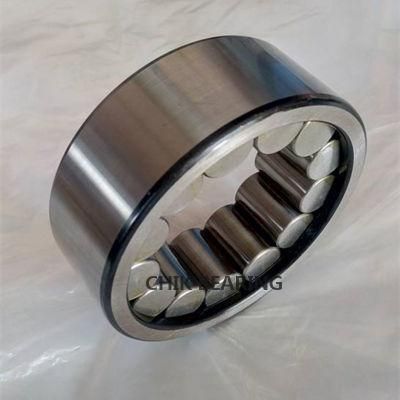 F-214101 Full Complement Cylindrical Roller Bearing Auto Bearing F207948