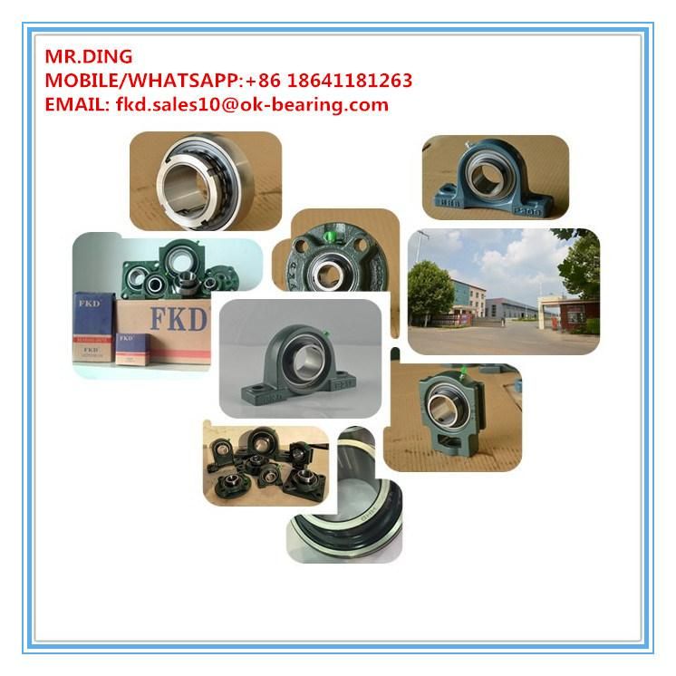 OEM /Agricultrual Machinery Stainless Steel Ceramic Cylindrical Roller Bearing UC/Ub/Ue/UK/Uel/UCP/Uelp/Ucfu/Uelk Pillow Block Bearingsdingpillow Block