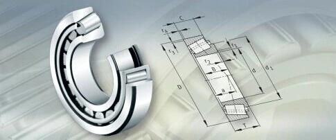 Bearing Cross Reference SKF