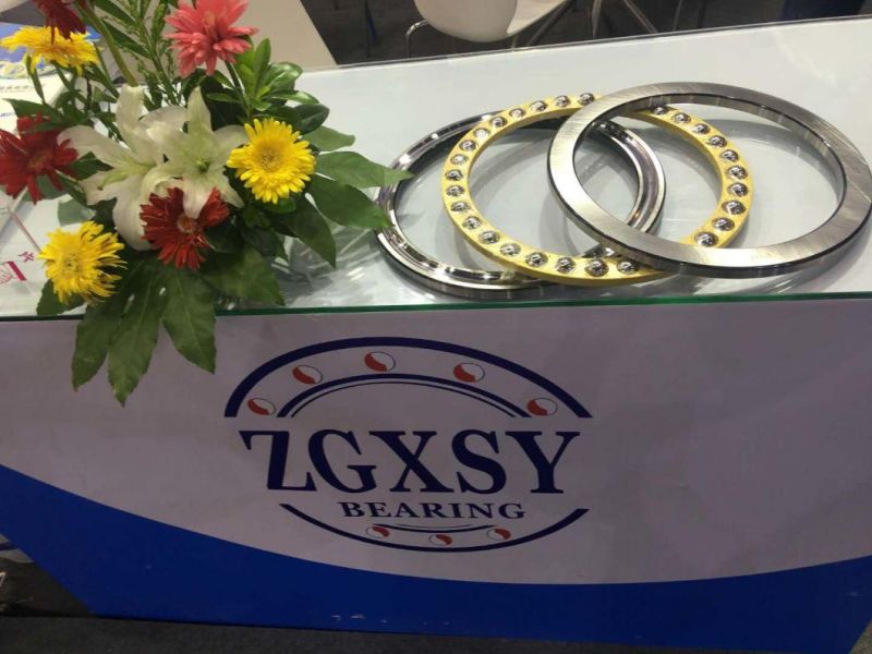 51100, 51200, 51300, 51400, 52200, 53200, 53300 Zgxsy Thrust Ball Bearings