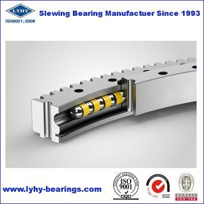 Access Platforms Turntable Bearing Rks. 061.25.1204 Slewing Bearing