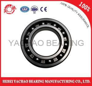 Deep Groove Ball Bearing (6224 ZZ RS OPEN)