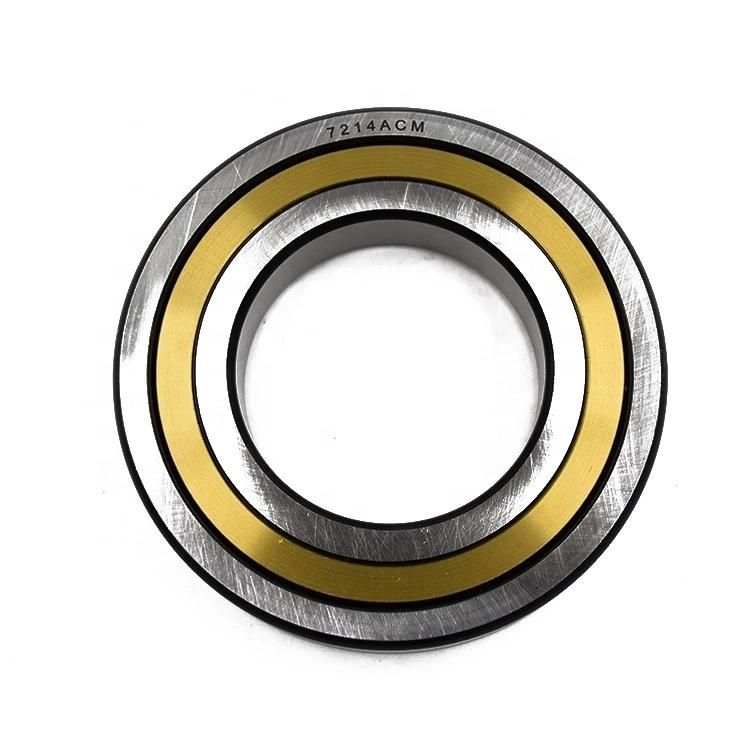 Long Life Angular Contact Ball Bearing Double Row