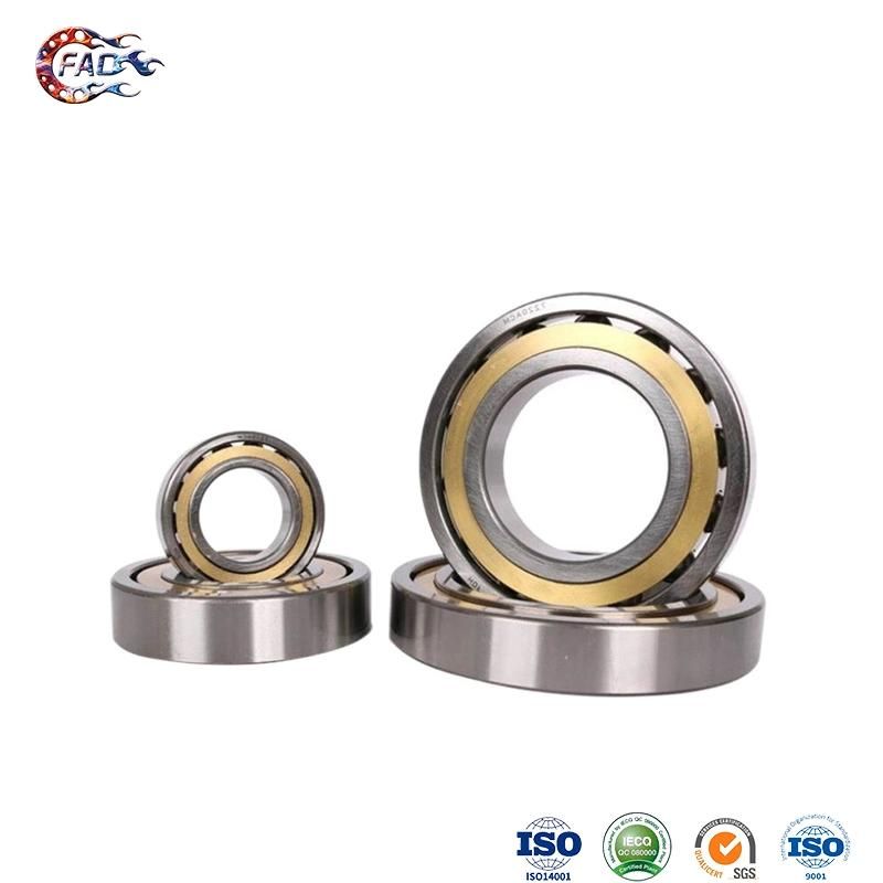 Xinhuo Bearing China Single Row Cylindrical Roller Bearing ODM Wholesale Price Deep Groove Ball Bearings for Auto Manufacture Bearing 6205 255215mm 7240AC