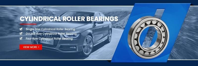 Xinhuo Bearing China Car Tire Bearings OEM 51202 N203e Double Row Cylindrical Roller Bearing