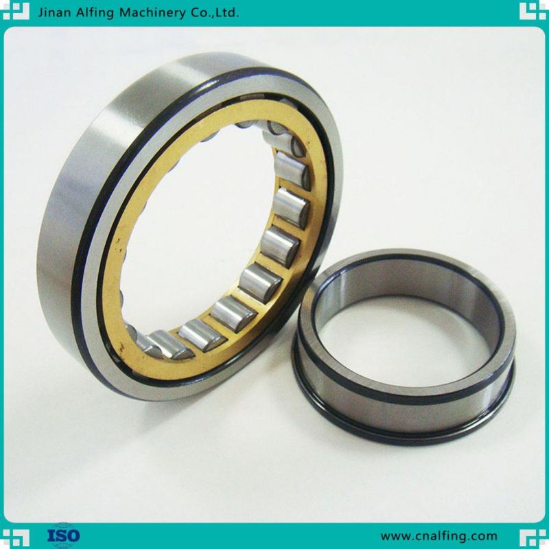 Double Row Chrome Steel Cylindrical Roller Bearing Size High Performance