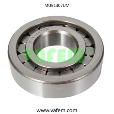 Cylindrical Roller Bearing Nj309e/Roller Bearing/Auto Parts/Quality Certified