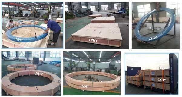 Earth-Drilling Machines Turntable Bearing Rks. 061.25.1644 Slewing Ring Bearing