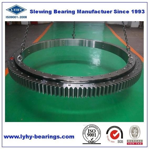 Lyhy Double Row Ball Slewing Bearings with Internal Teeth 2ID. 095.00