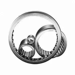 Needle Roller Bearings with High Load Carrying Capacity (K, HK, SCE, BK, BCE, HF, HFL, NK, NKI, NA, RNA)