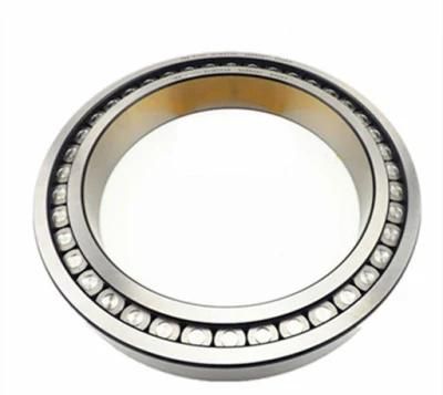 Full Complement Cylindrical Roller Bearing for Rolling Mill SL18 2916 SL18 3016 SL18 2216 SL18 2316