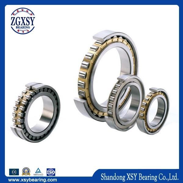 Nj311r C3fy Cylindrical Roller Bearing (C3 Clearance)