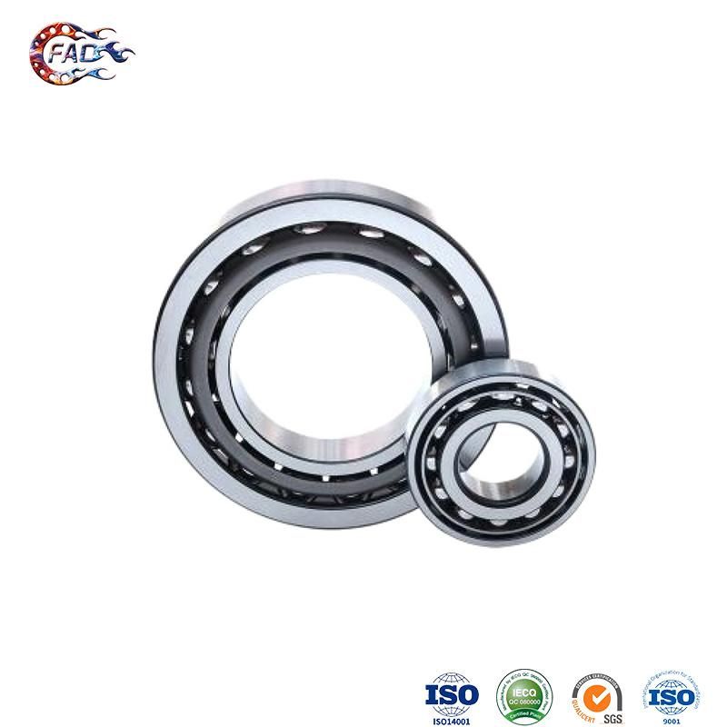 Xinhuo Bearing China Split Cylindrical Roller Bearing Supply Energy Mining Auto Bike Deep Groove Ball Bearing Manufactured in China 7307AC