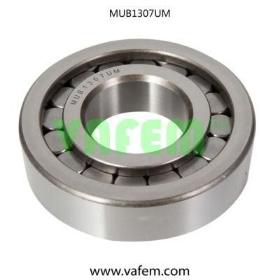 Cylindrical Roller Bearing N205e/Roller Bearing/Auto Parts/Quality Certified